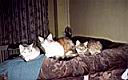 2004-11-16 215900.jpg